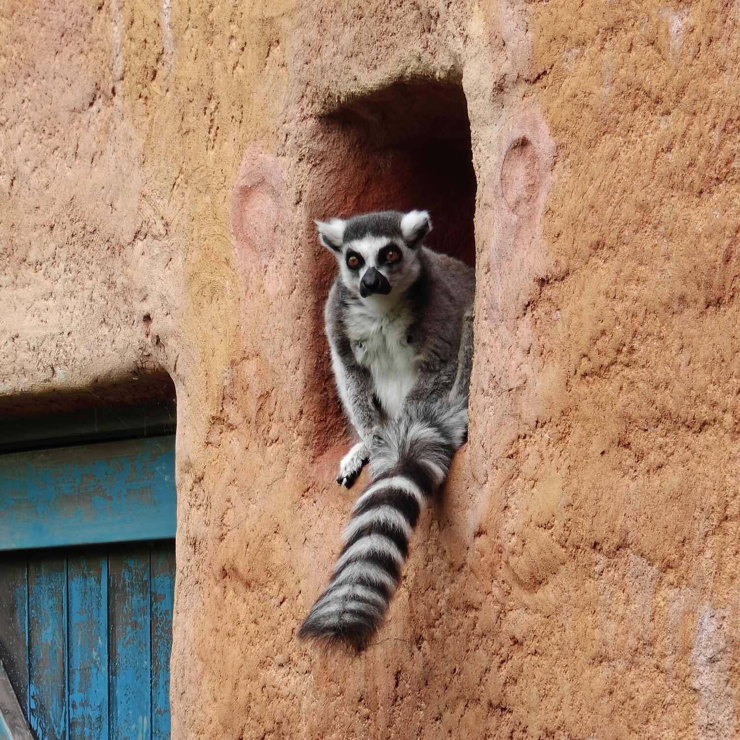 InArbeit Burgers Zoo