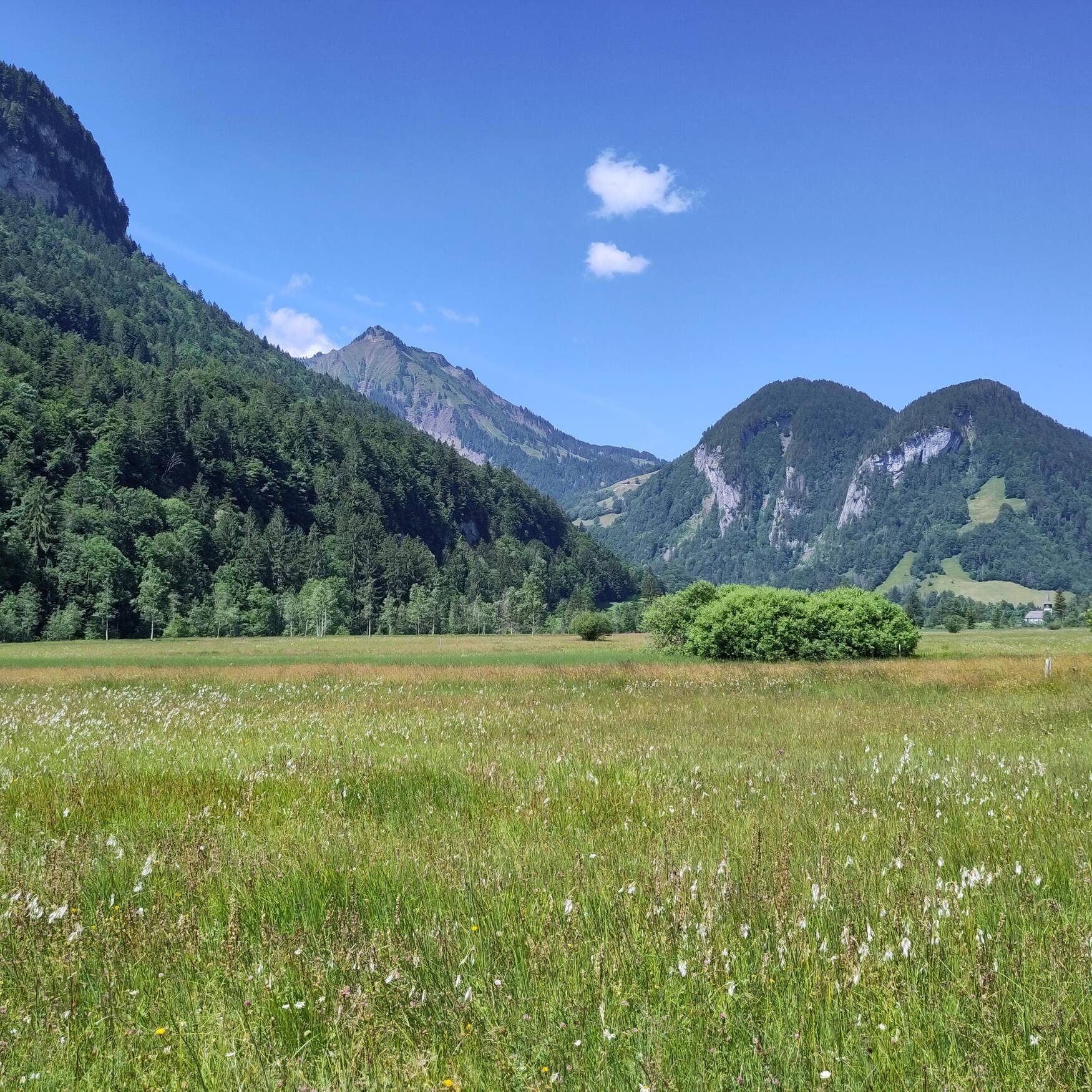 Bregenzerwald Wochenende