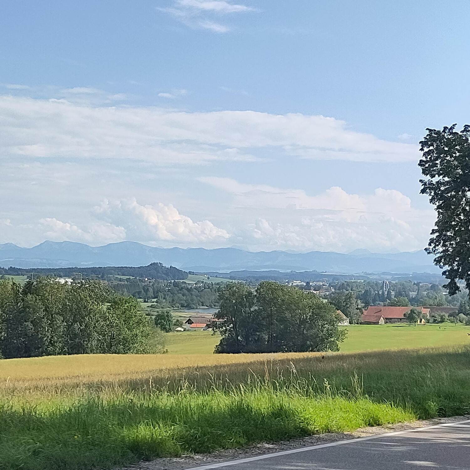 Westallgäu