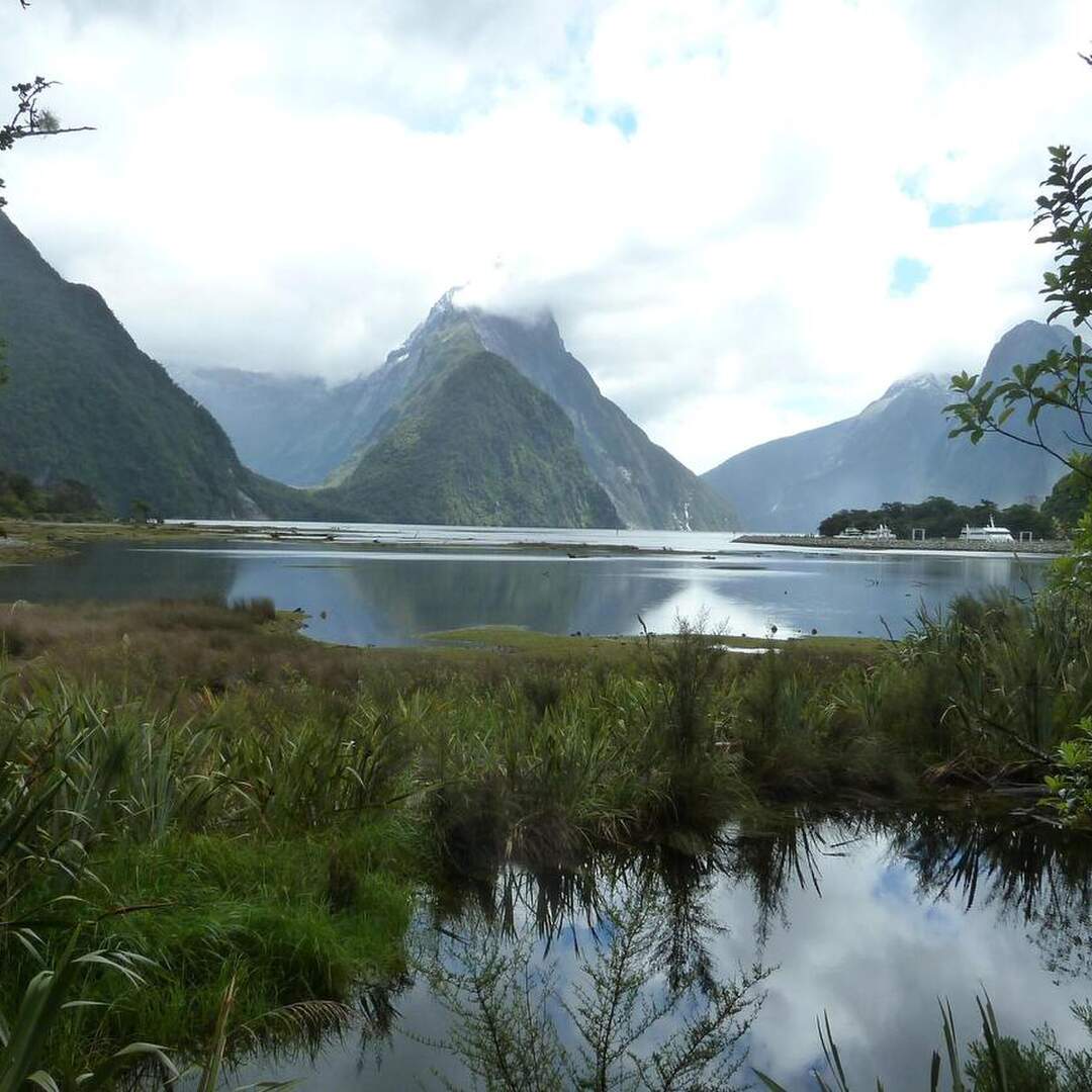 Grape Escape - New Zealand