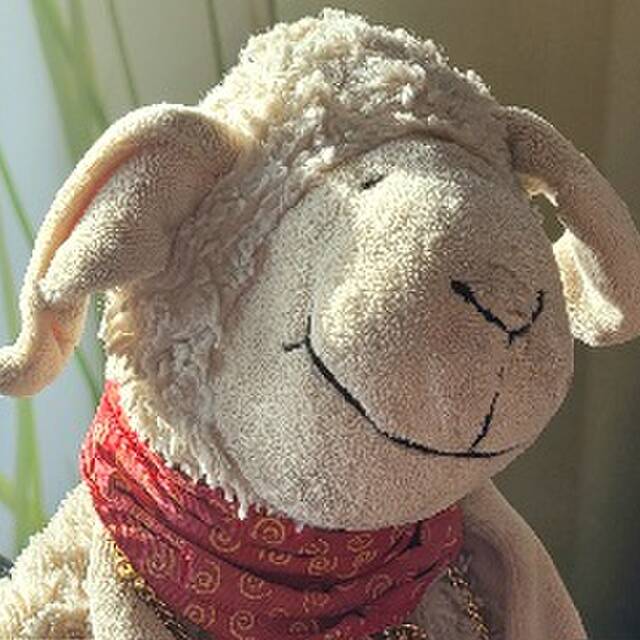 Schaf Reisen