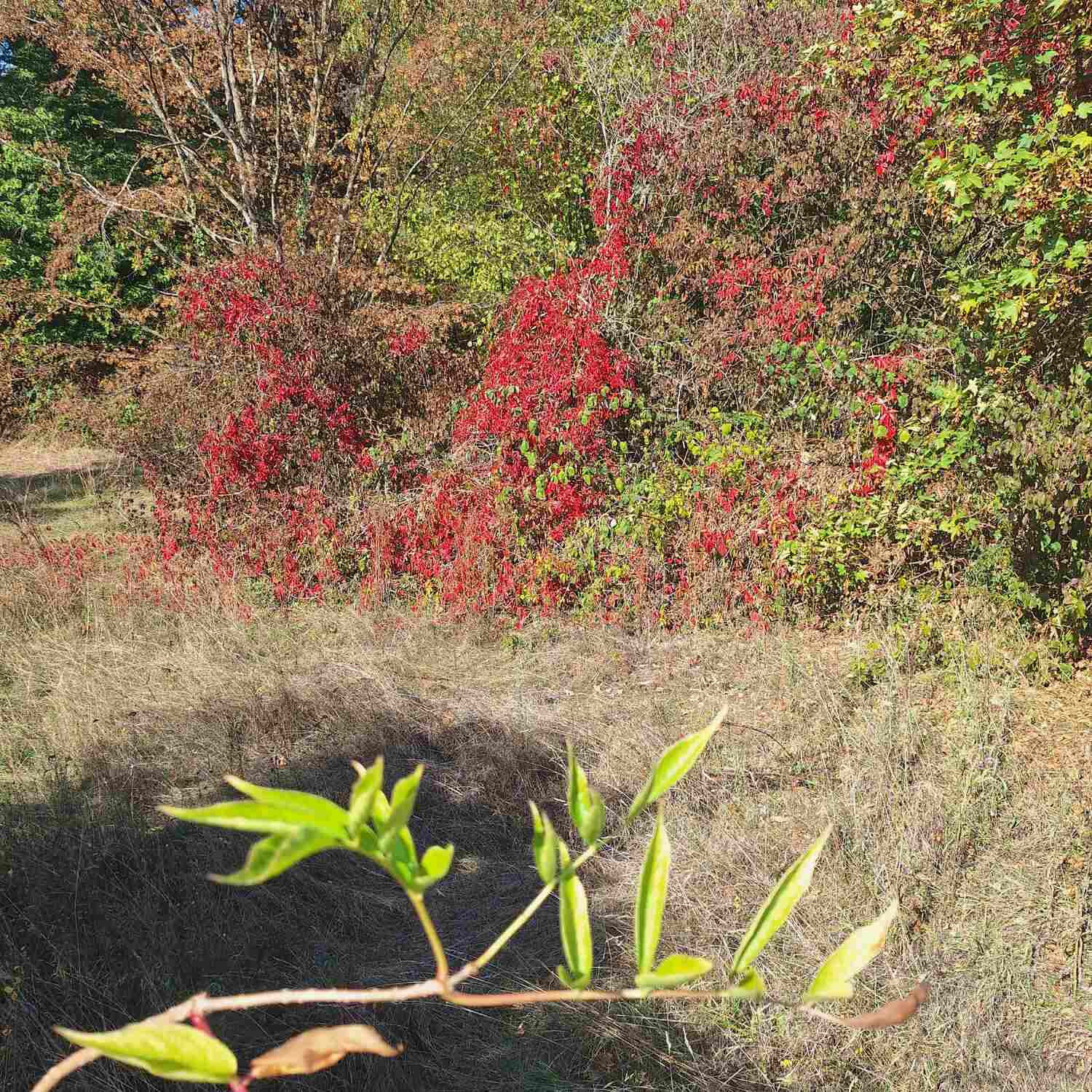 Herbst 2026
