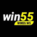 WIN55 WS
