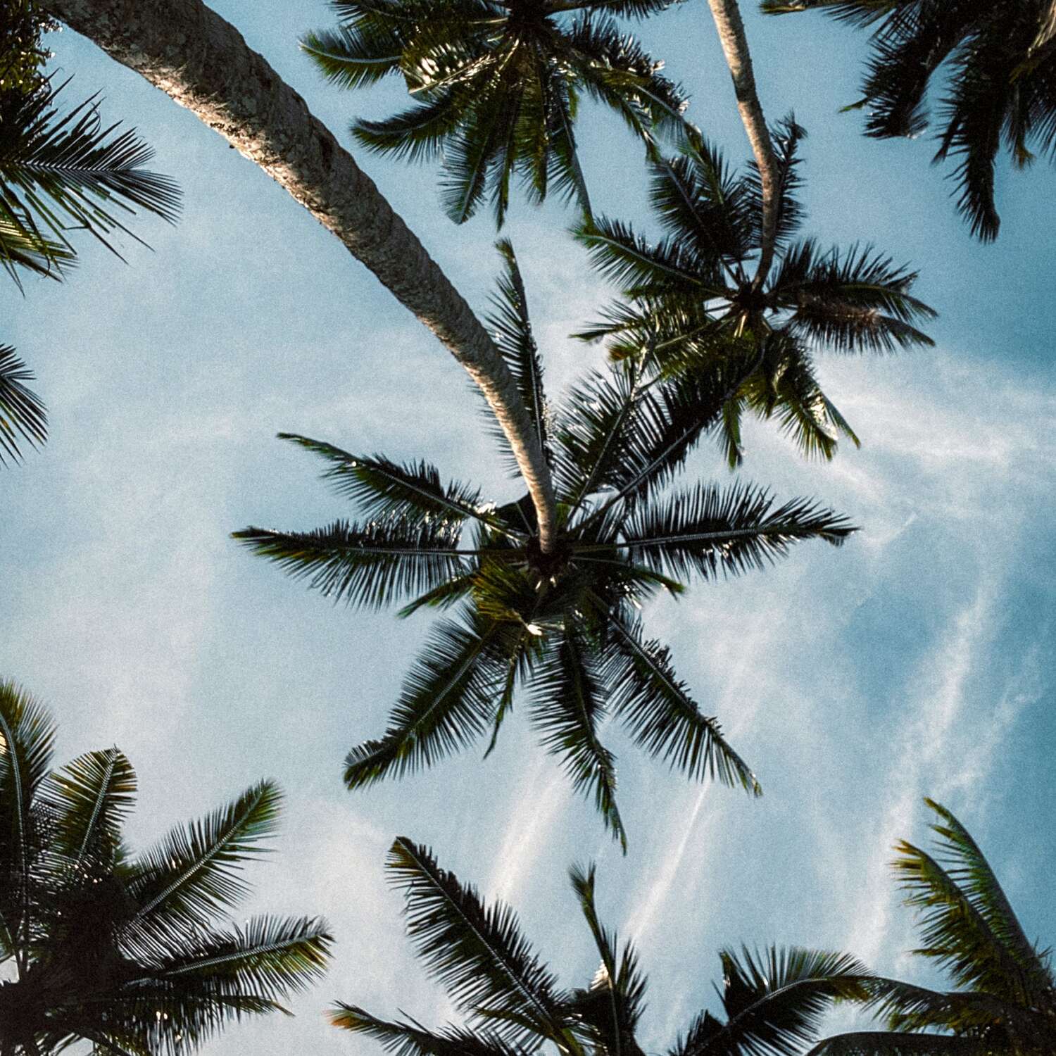 Bali ✨