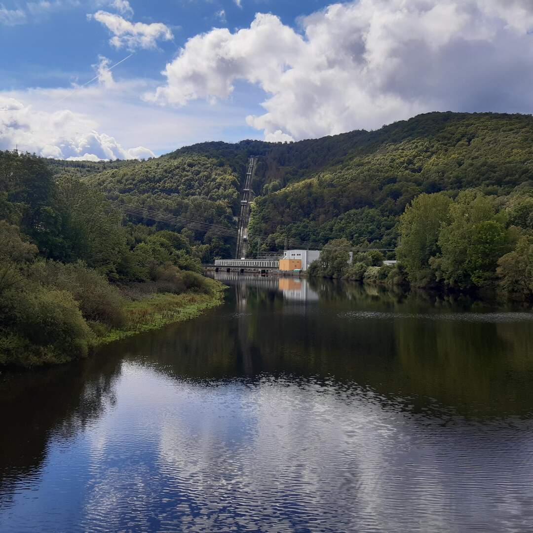 Urwaldsteig Edersee