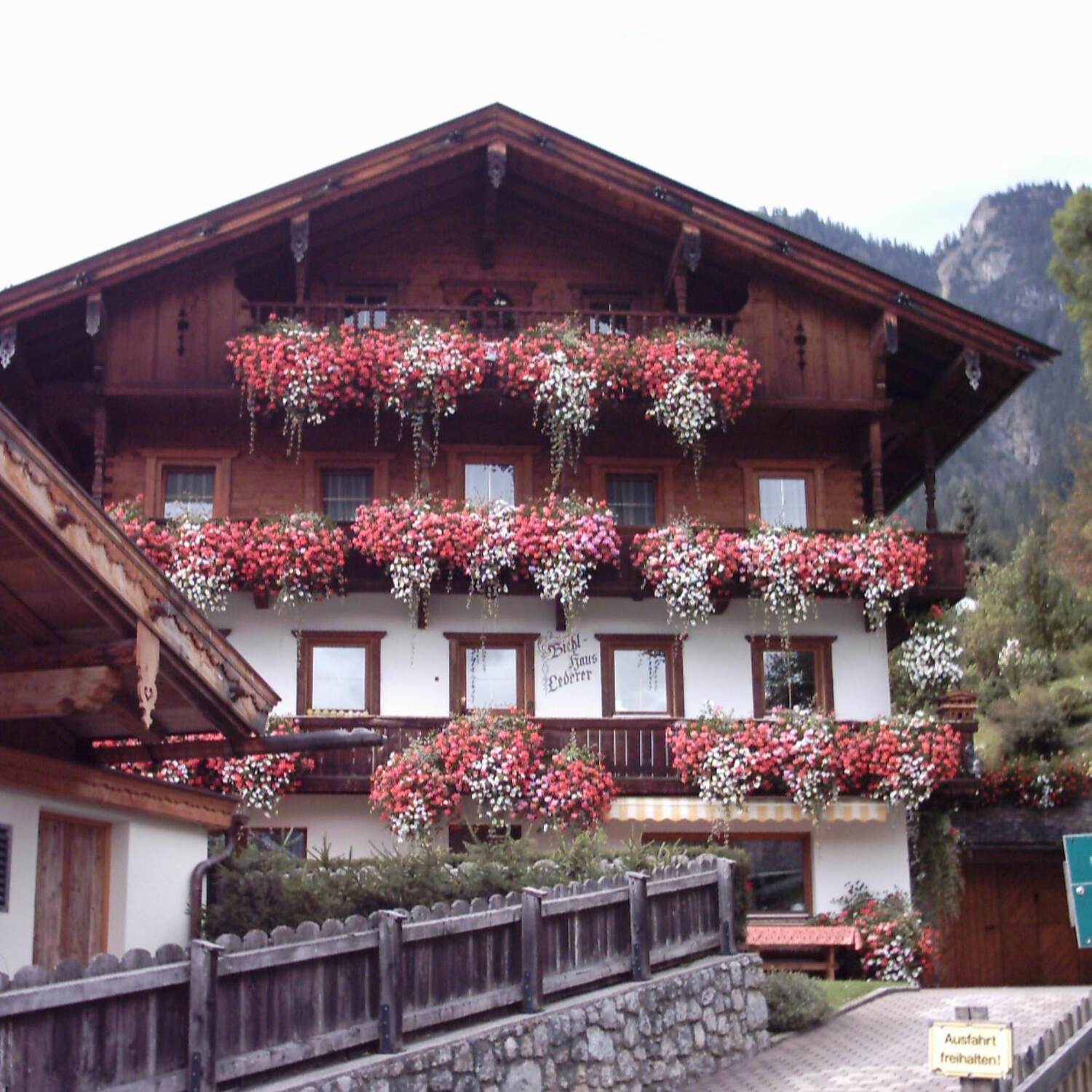 Am Haflingerhof in Kramsach