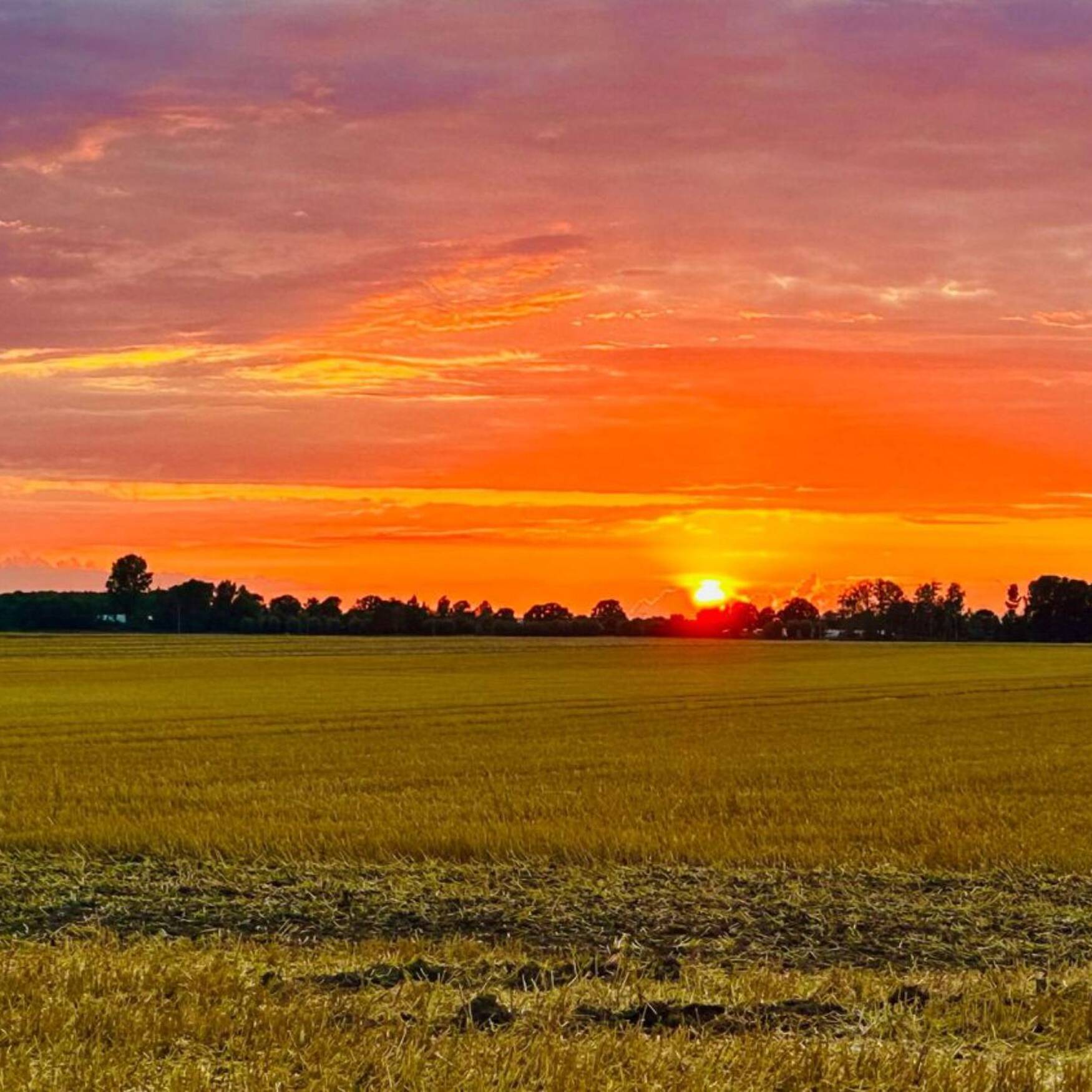 Sommer 2023