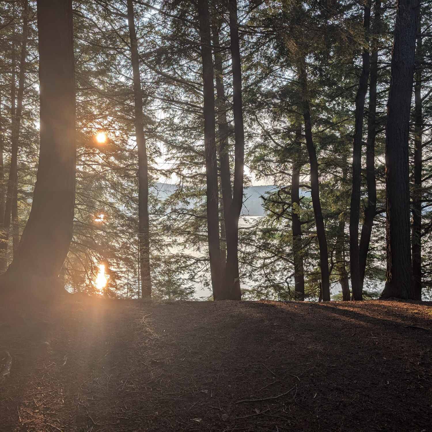 Cannisbay - Algonquin Park
