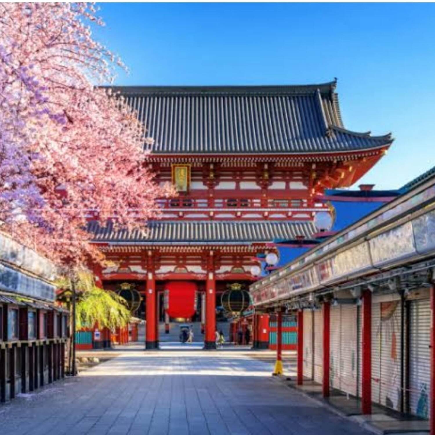 日本旅行