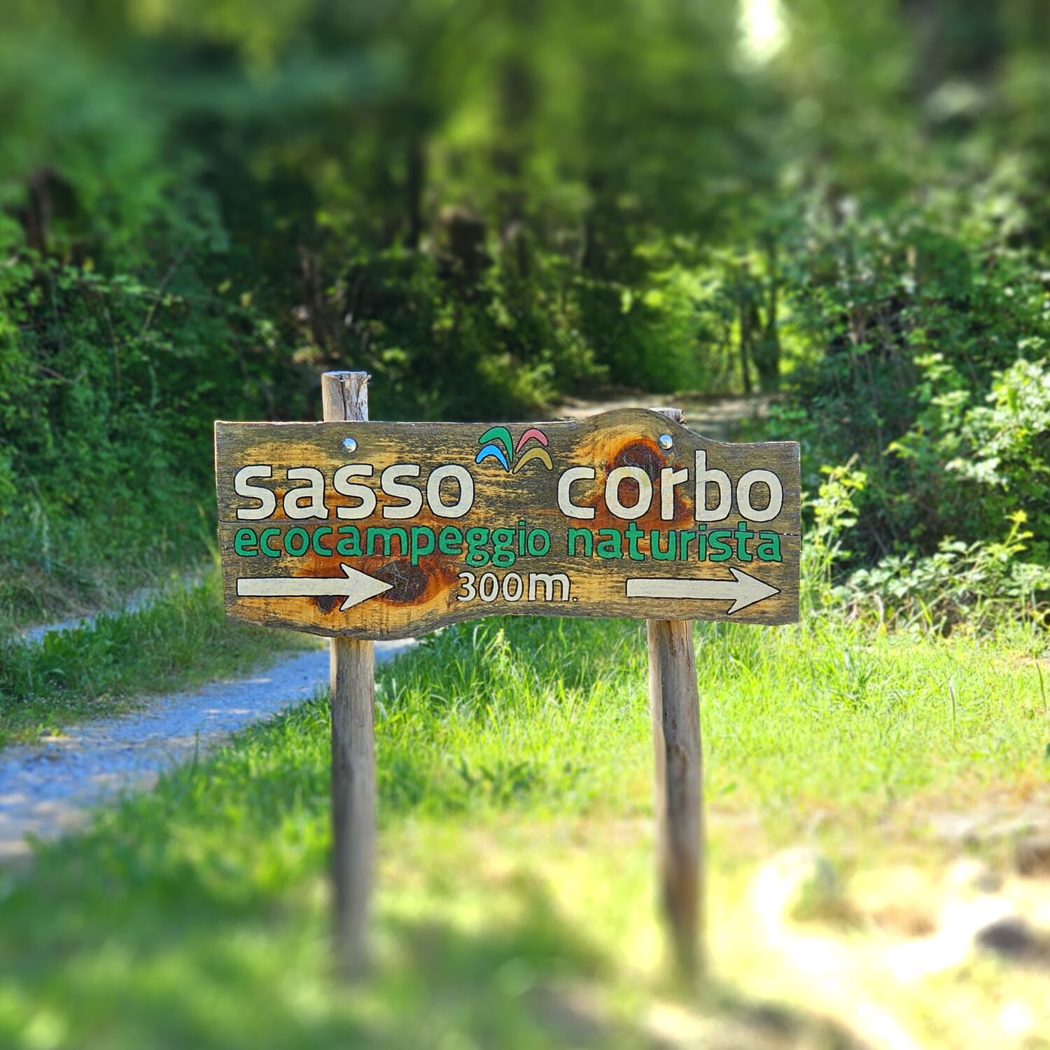 Sasso Corbo
