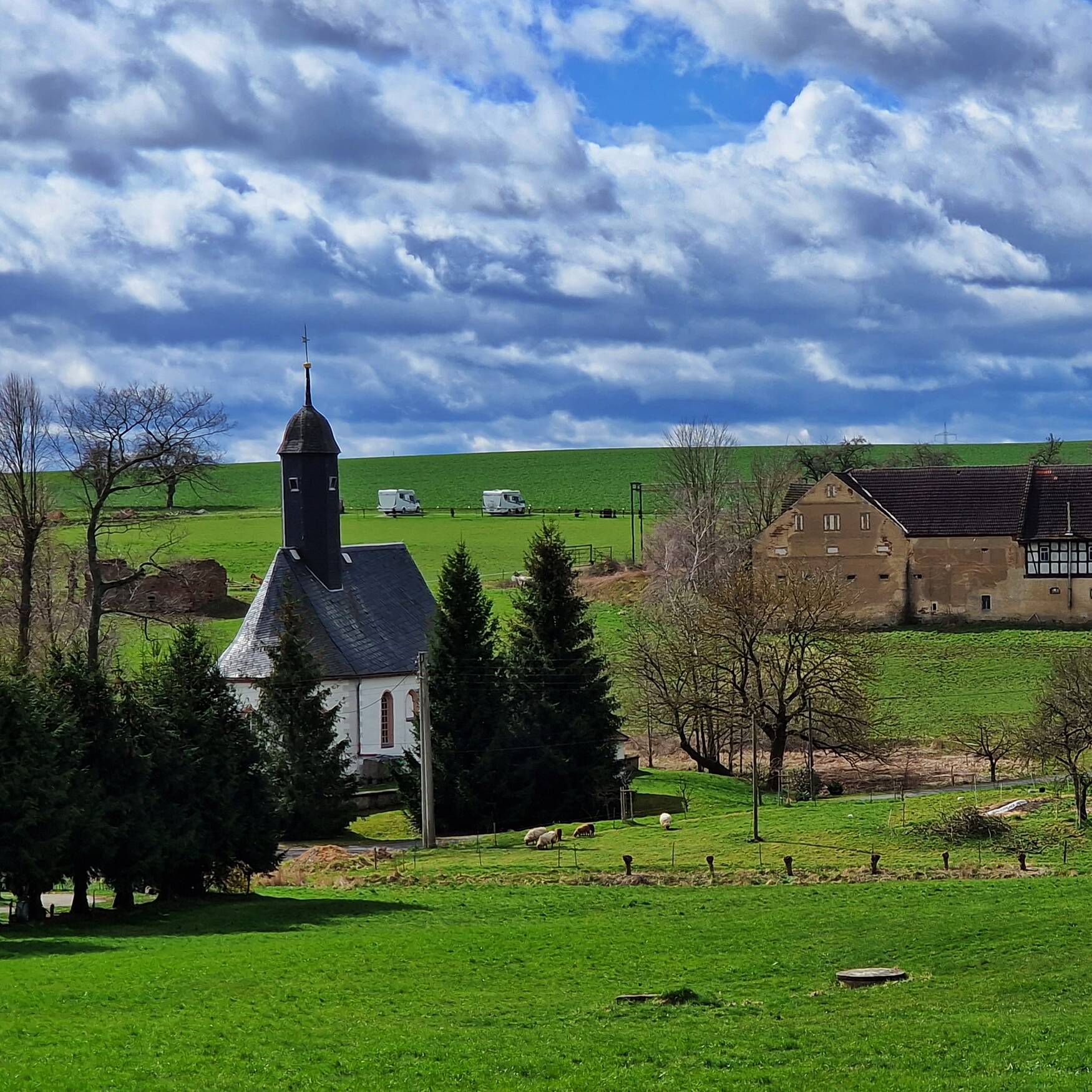 Friesenpferde und mehr