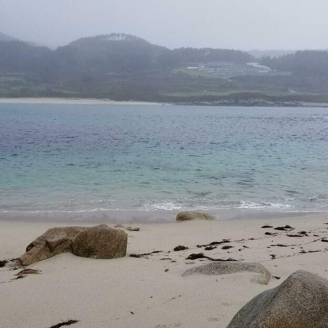 Camino Finisterre/Muxia