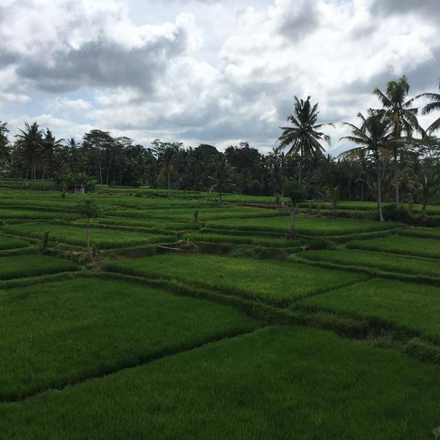 Bali
