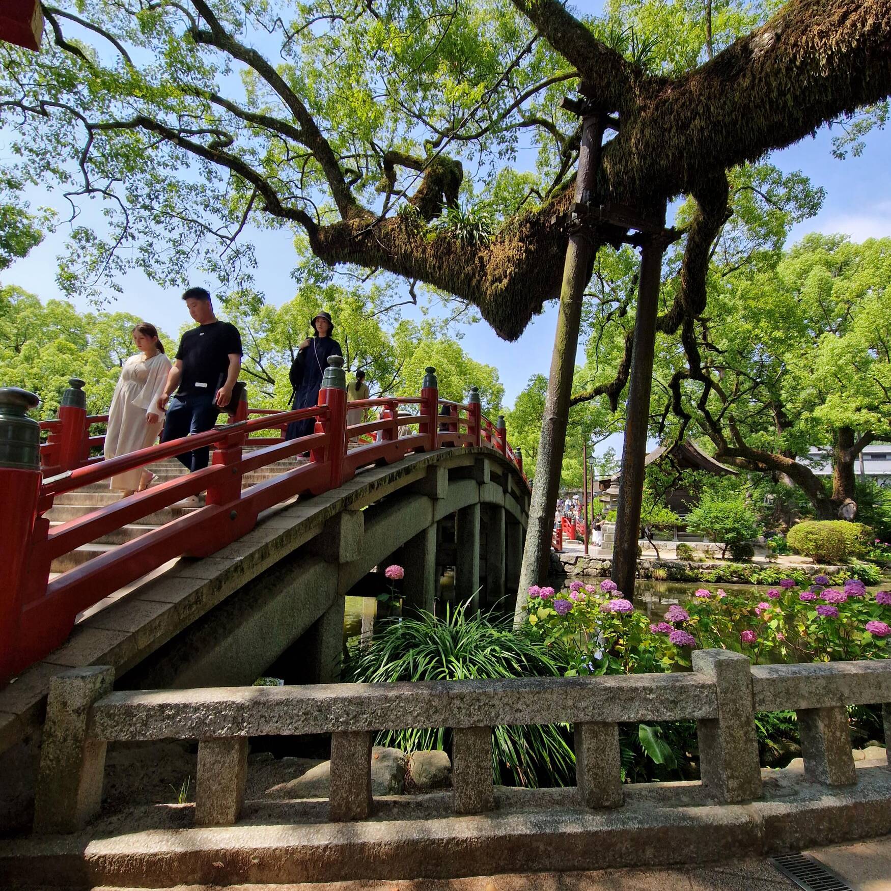 KYUSHU ISLAND (JAPAN)