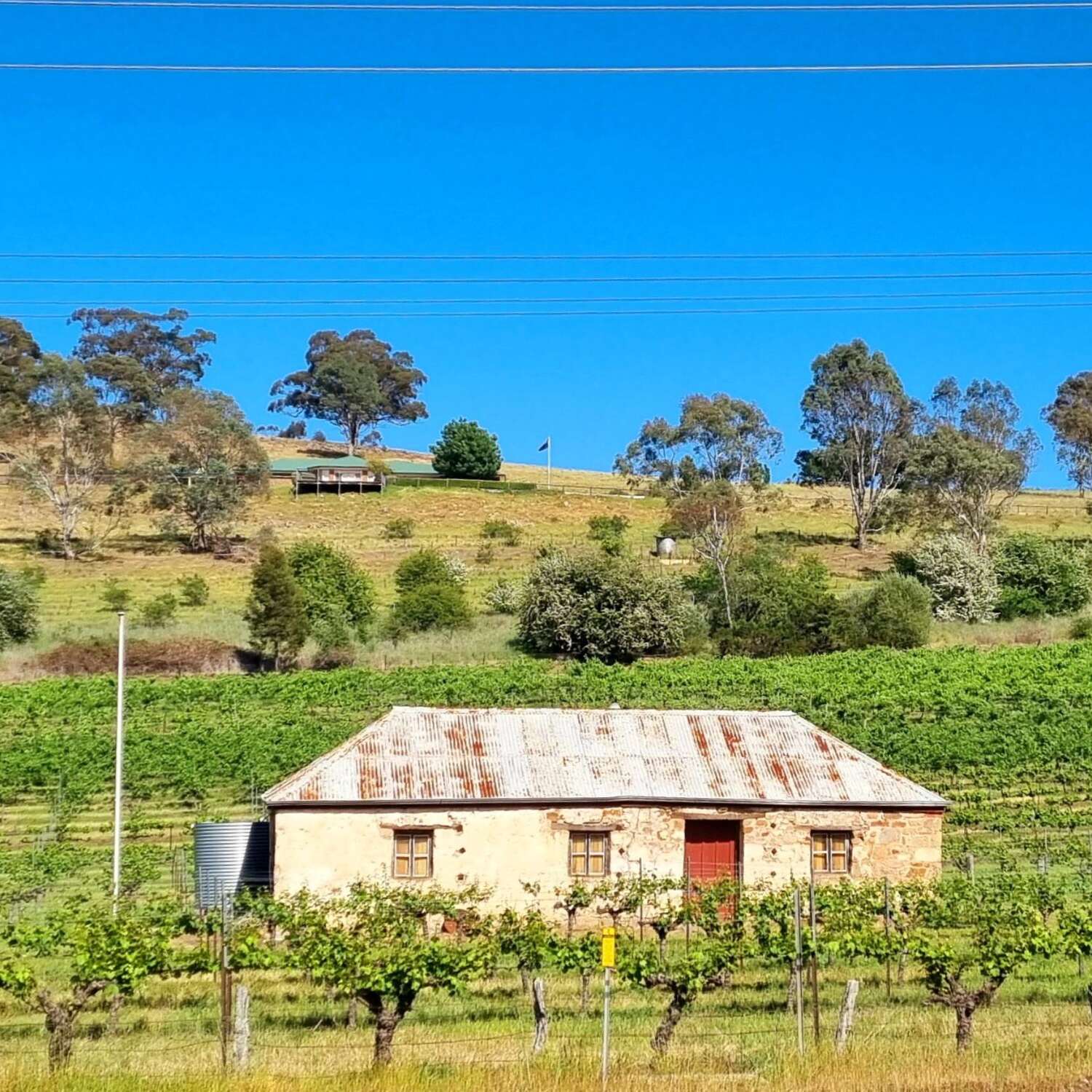 Clare Valley October 2024