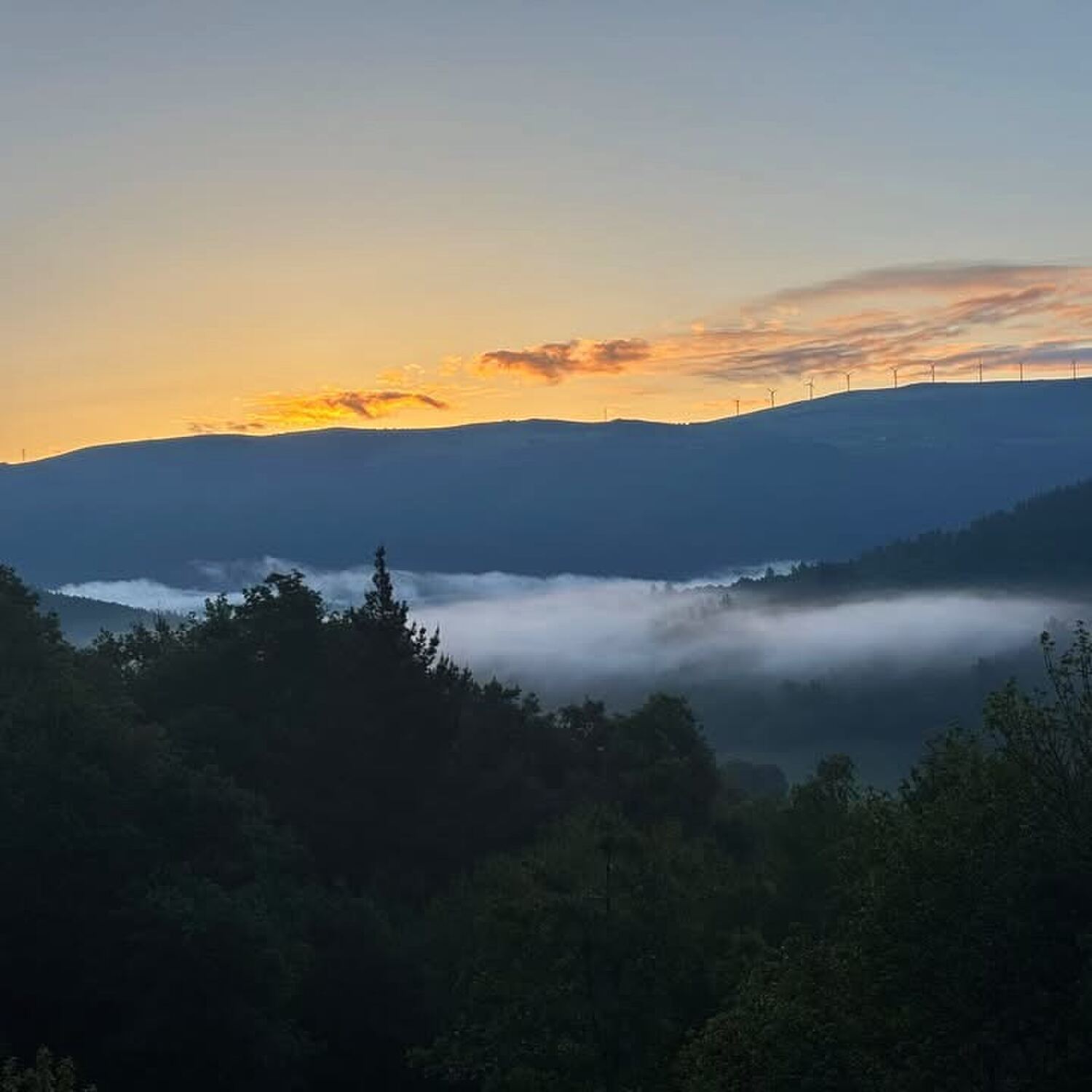Camino Primitivo