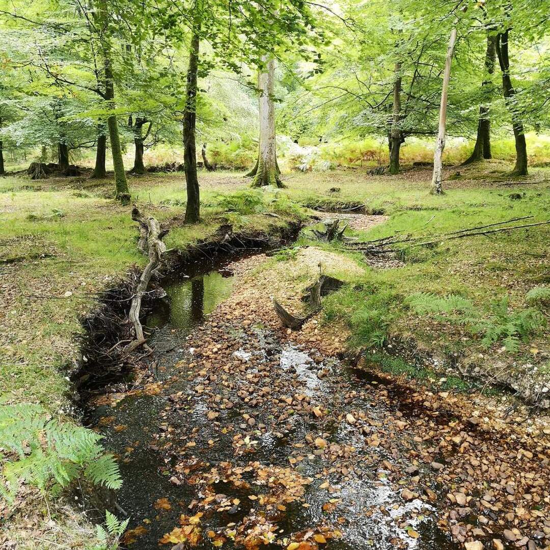 South of England sept 20