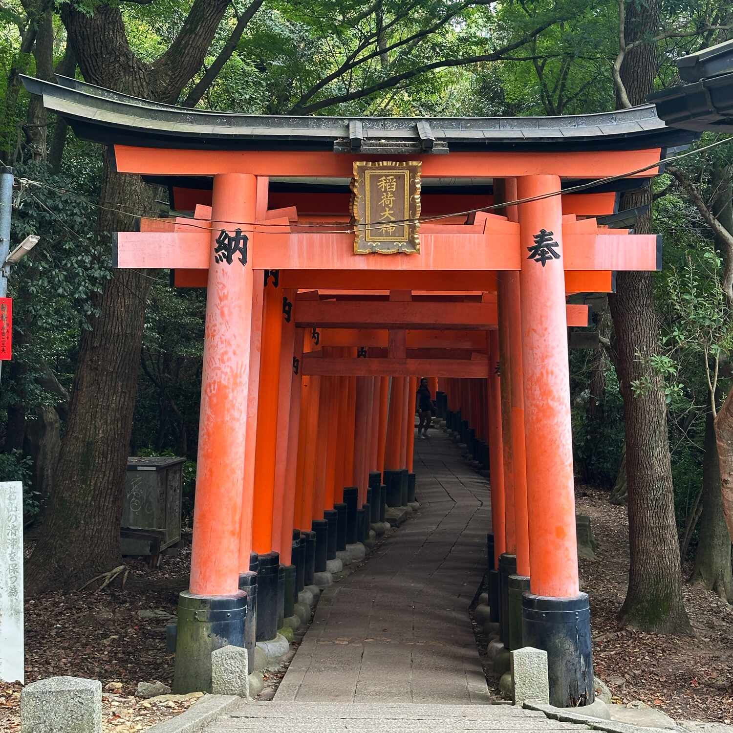 Japan ‘25