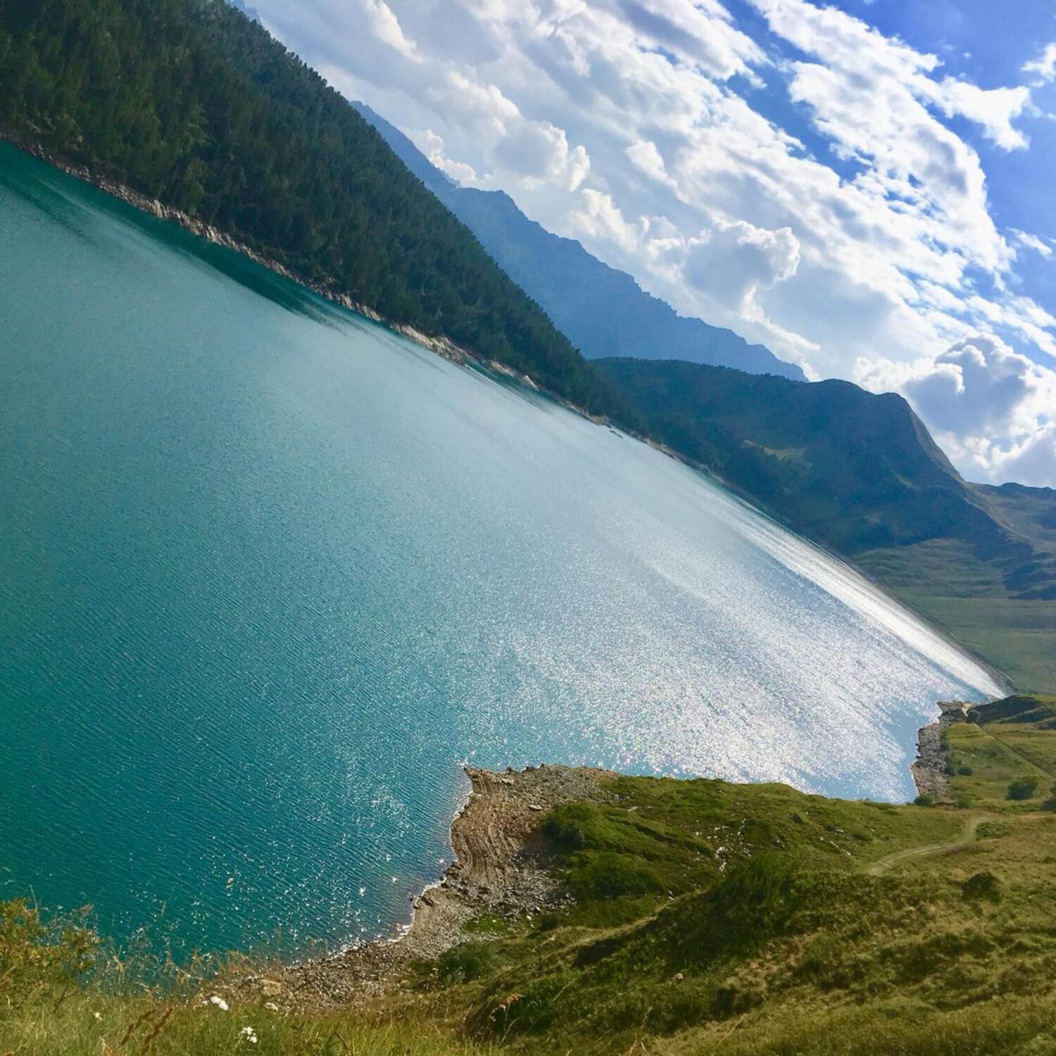 Entdecke die Alpen﻿