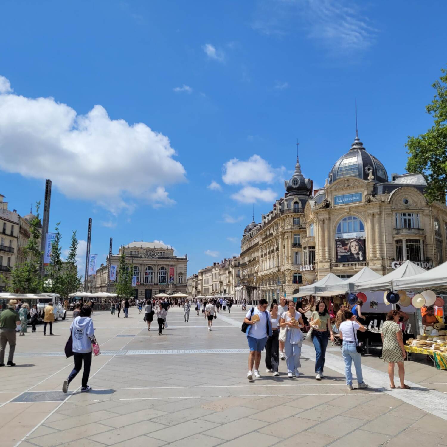 Montpellier 2024