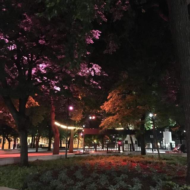 montreal essai