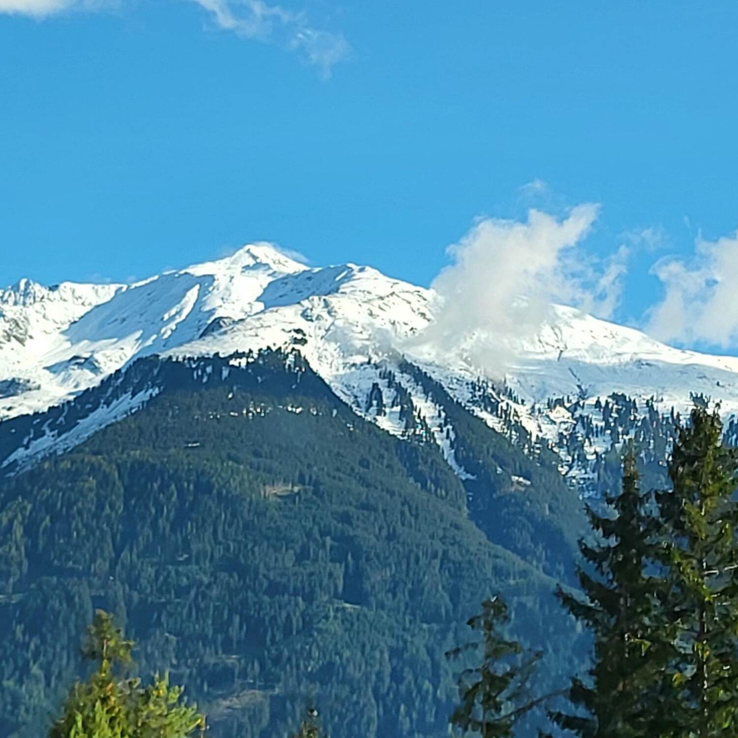 TRENTINO