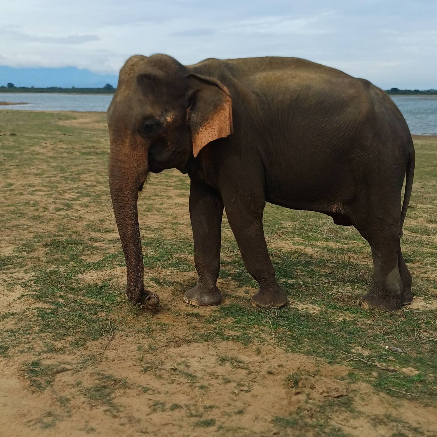 Komm mit nach Sri Lanka 2026