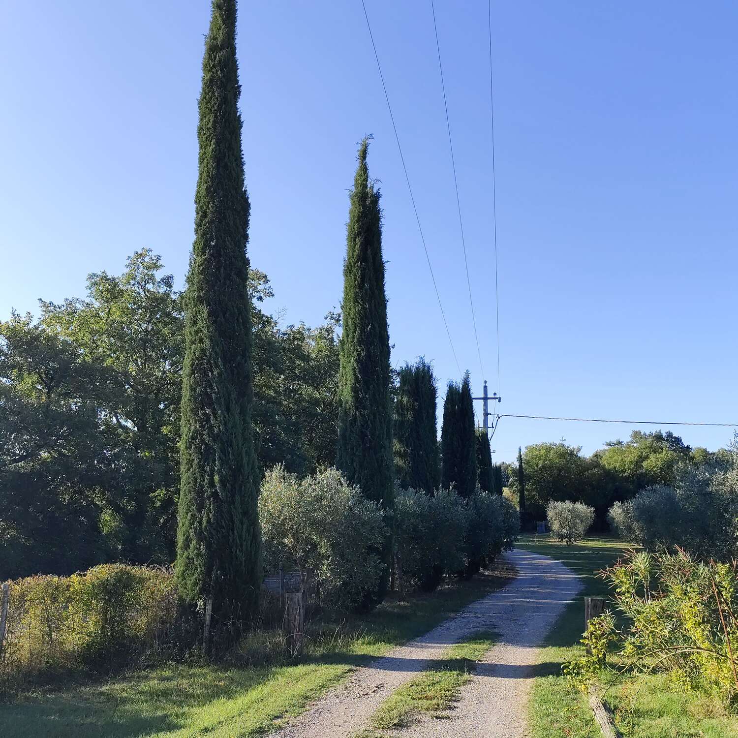 Toskana & Montegrottoterme