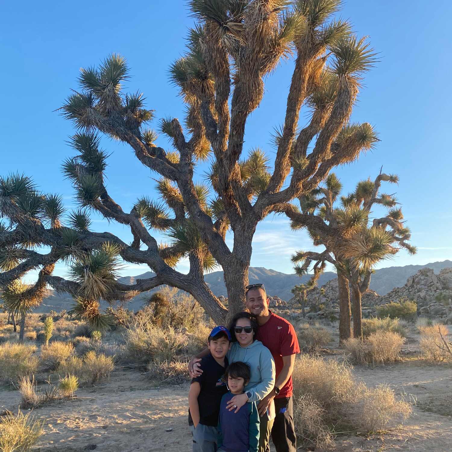 San Diego & Palm Springs