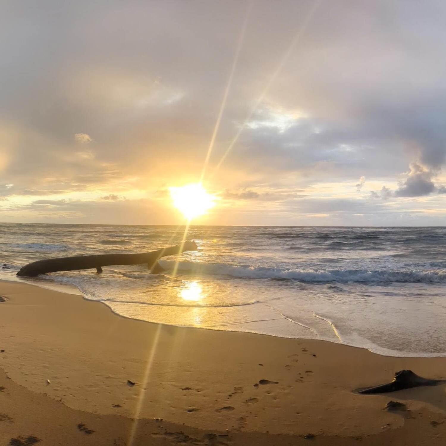 Kauai 2024