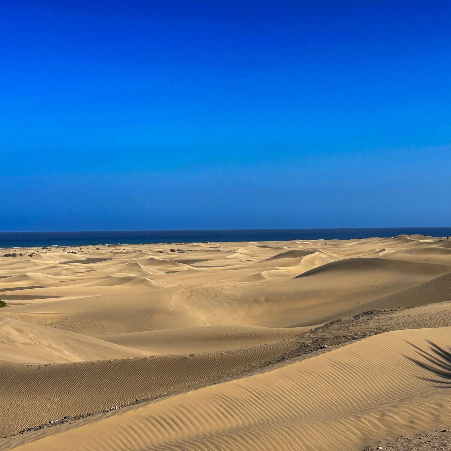 Gran Canaria Besuch