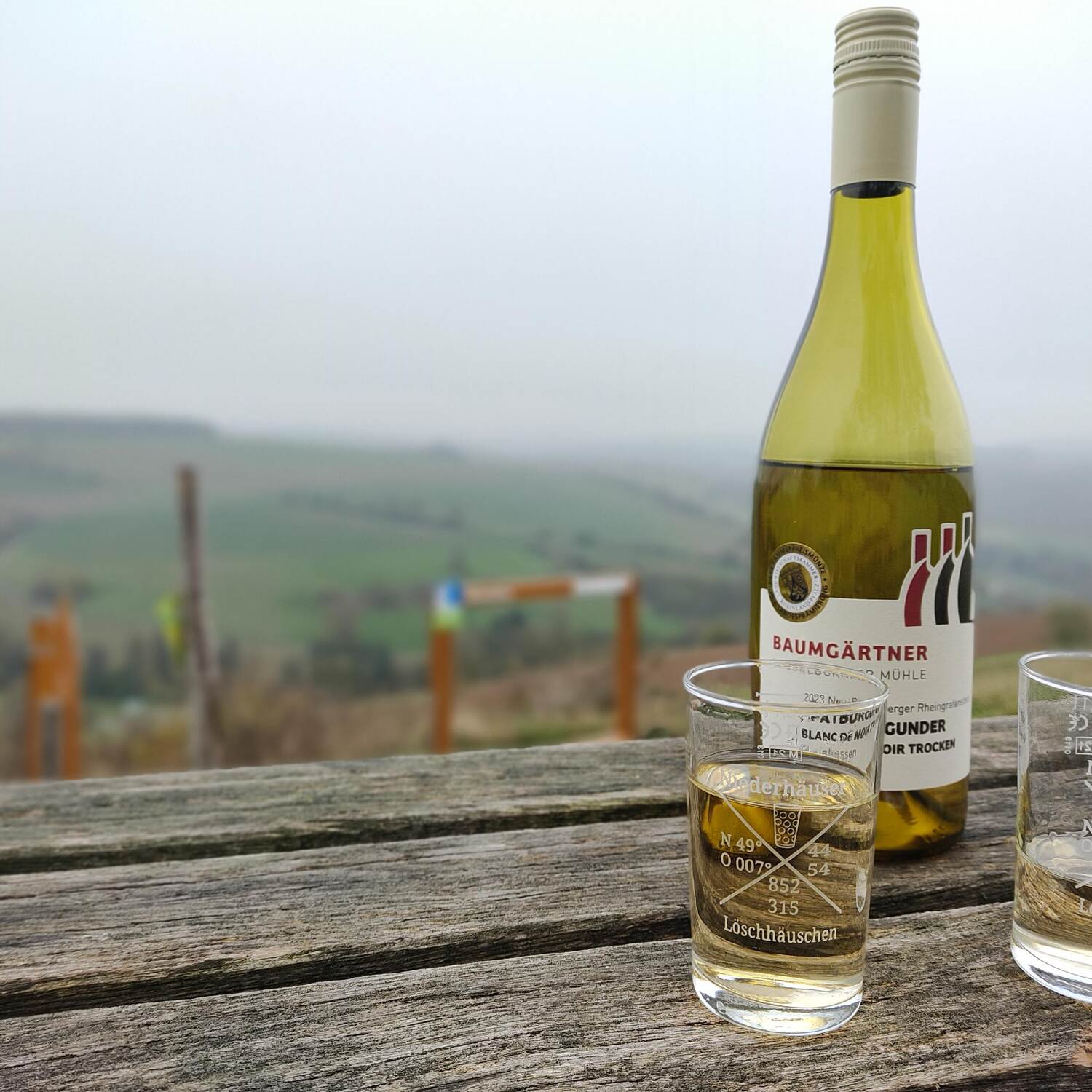 Rheinhessen November 2024