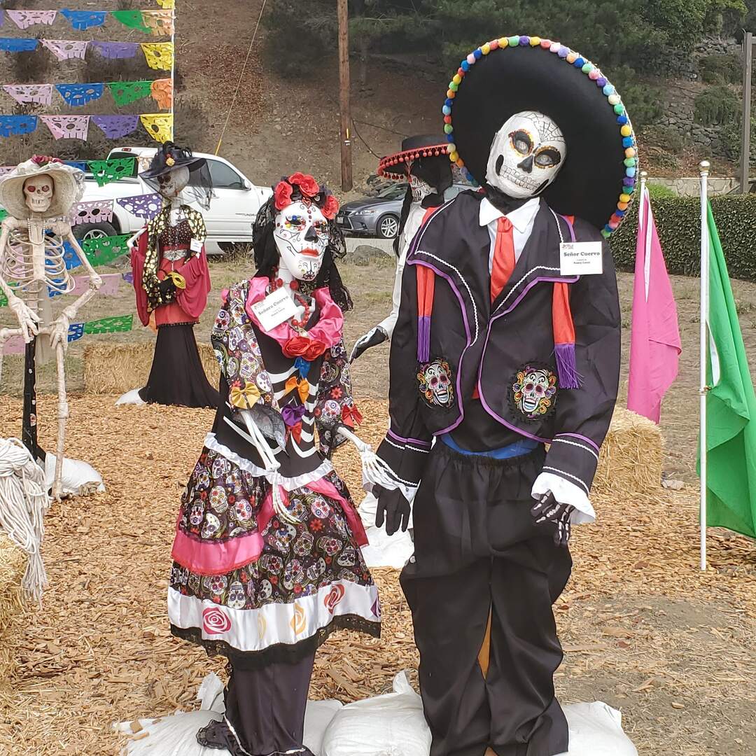 Sunday Northbound Cali