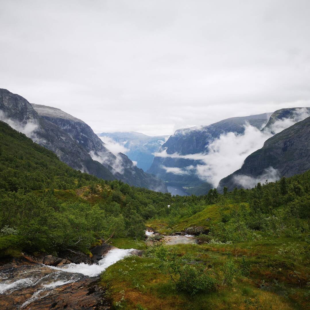 Trip to the North