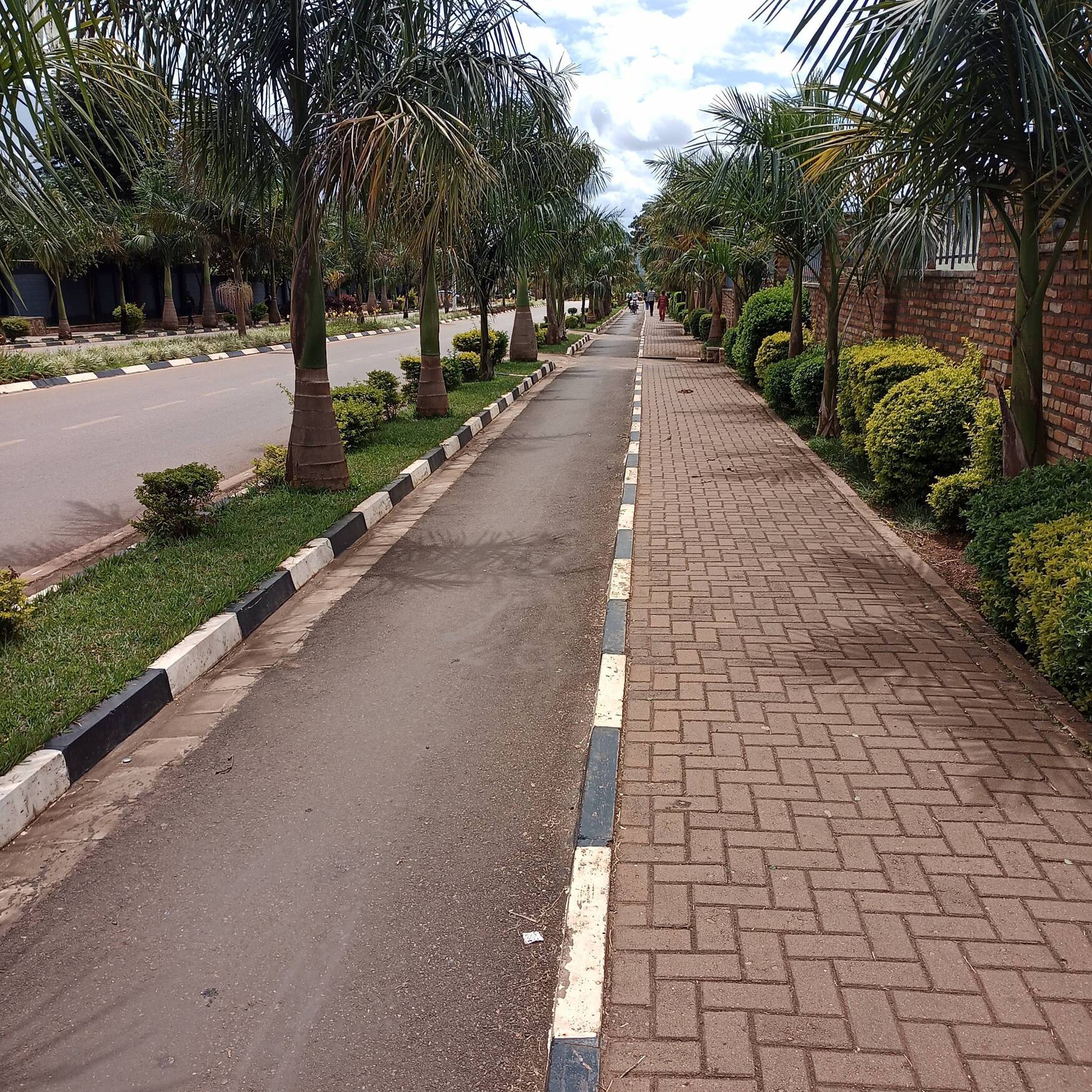 Africa Coffee Tour 2023