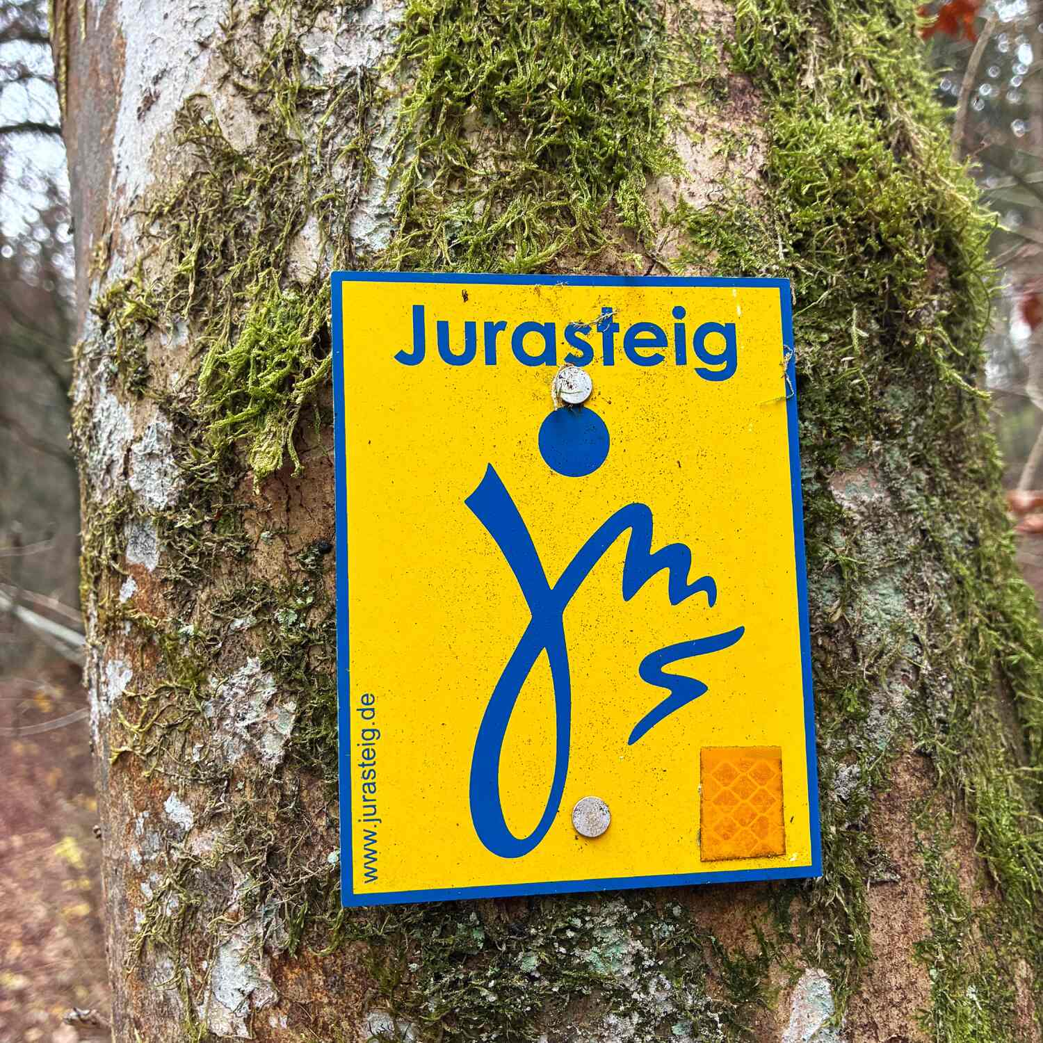 Auf dem Jurasteig