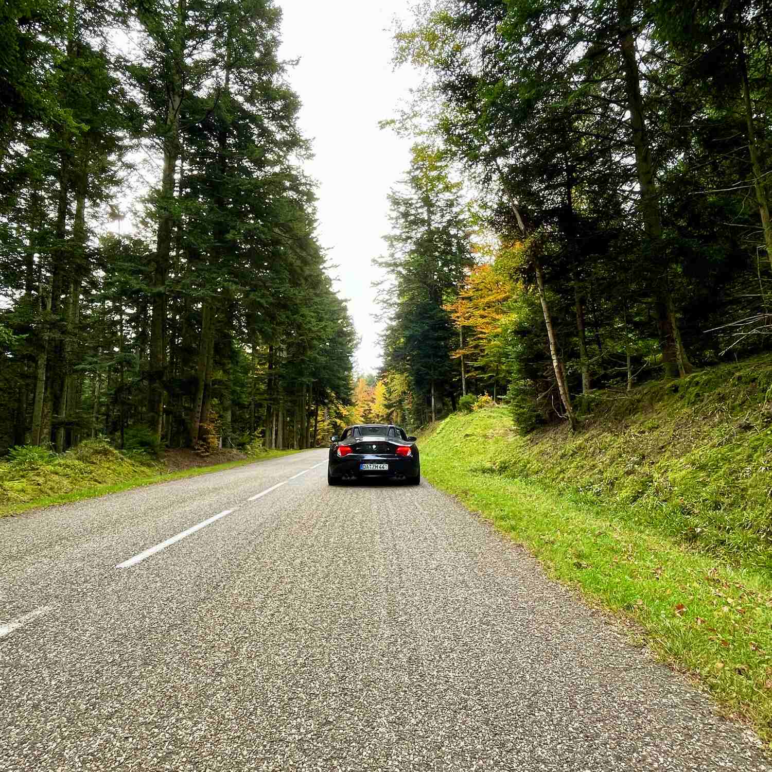 Rally Cumo Vosges 25