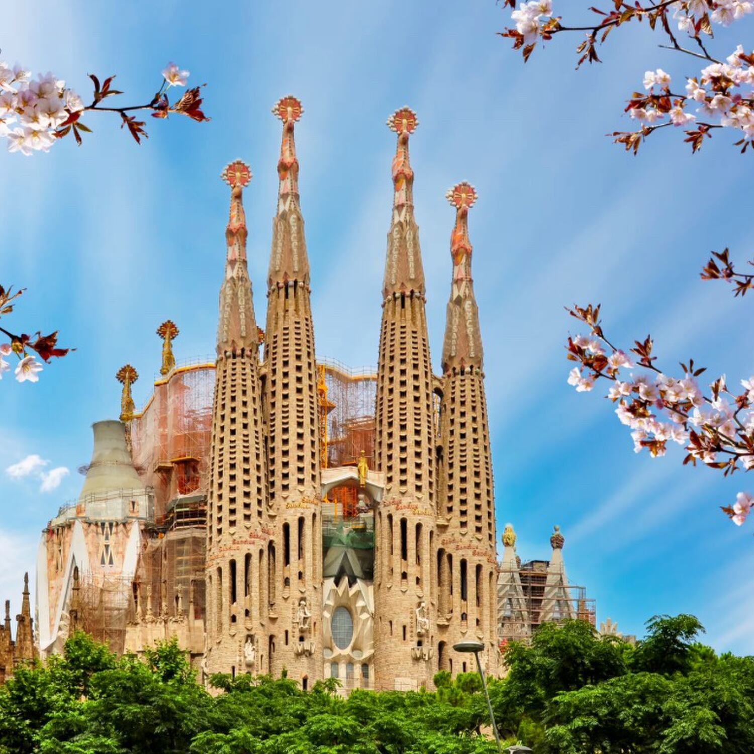 Wochenende bei 🐰 in Barcelona