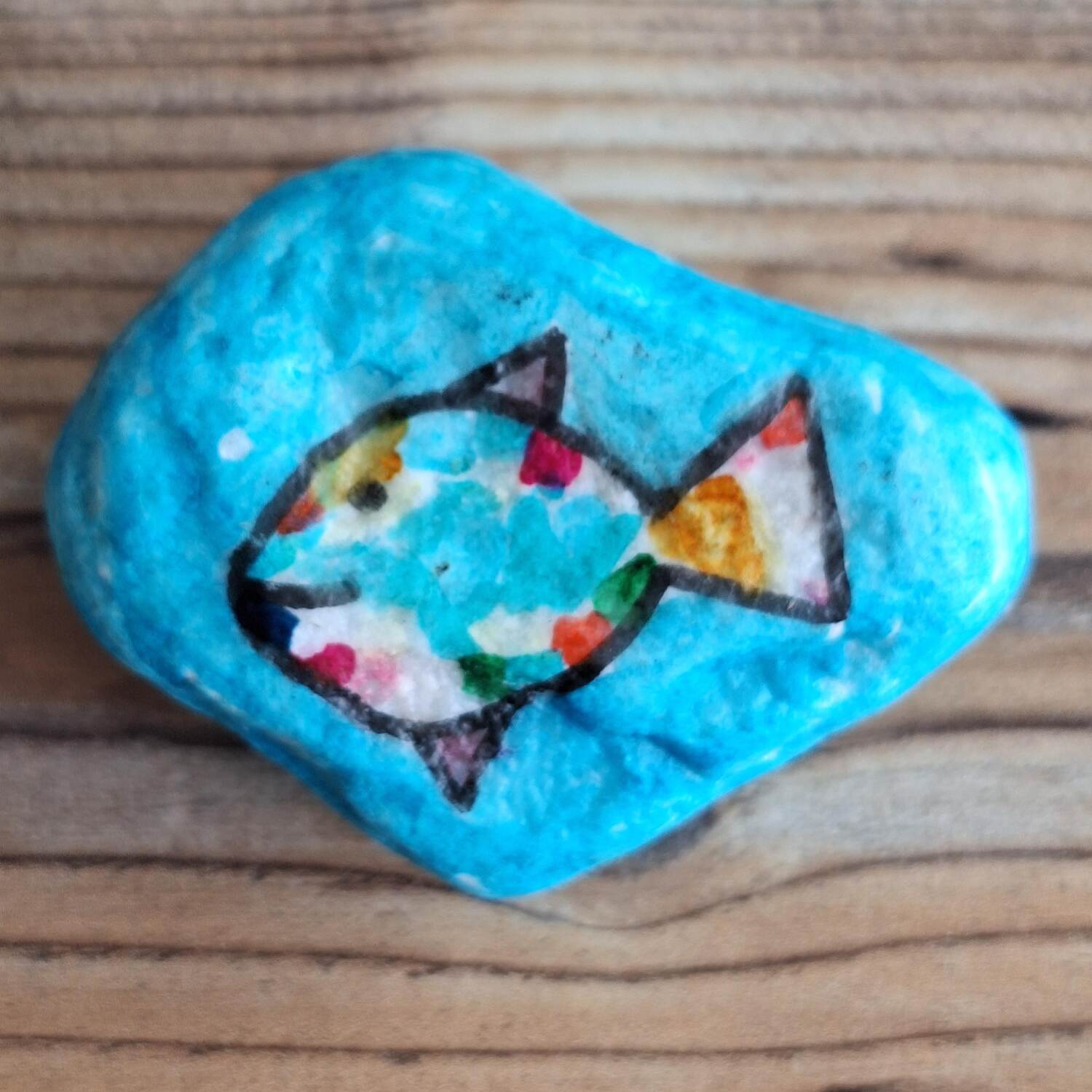 Regenboogvissen (Rainbow Fish)