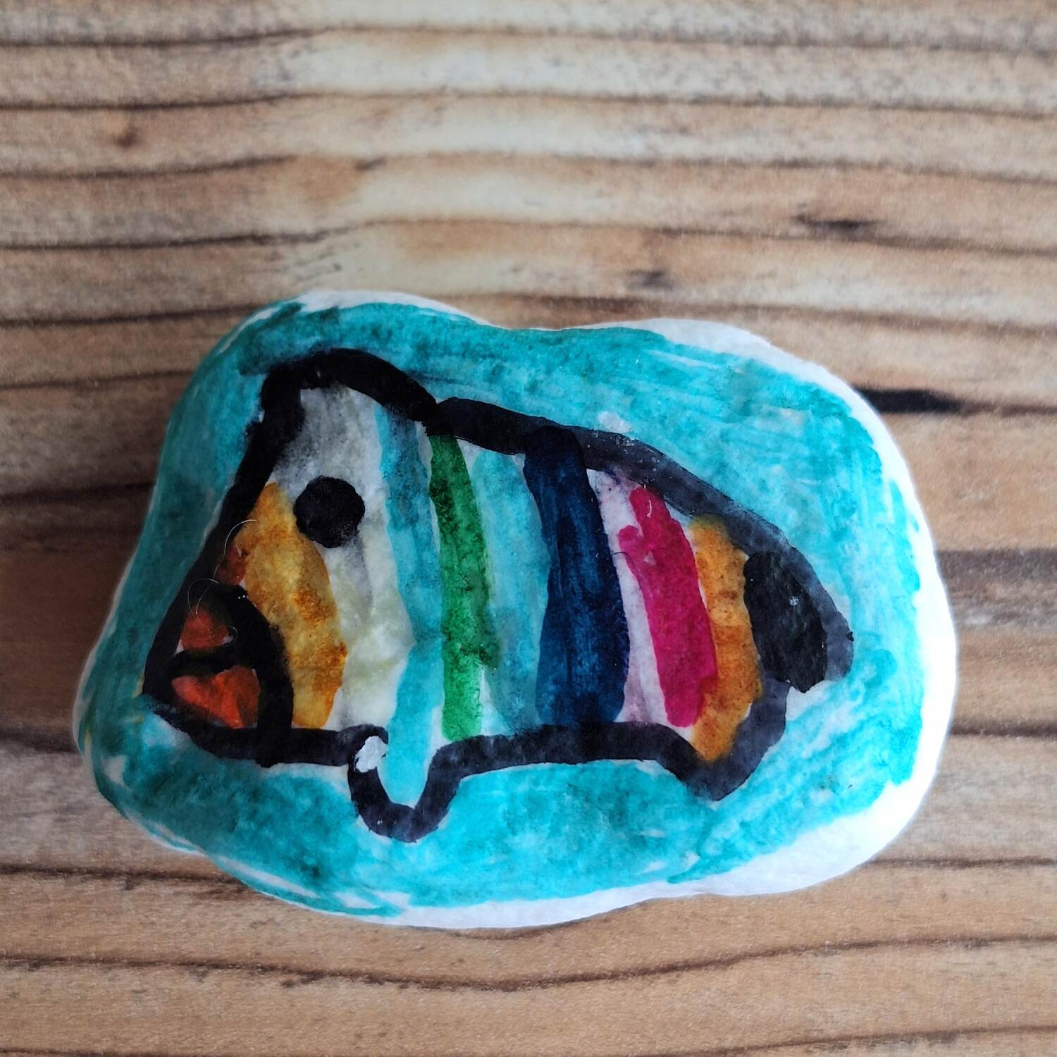 Regenboog varken (Rainbow pig)