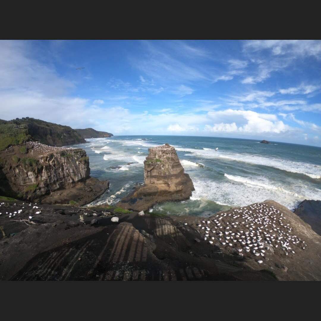 Neuseeland