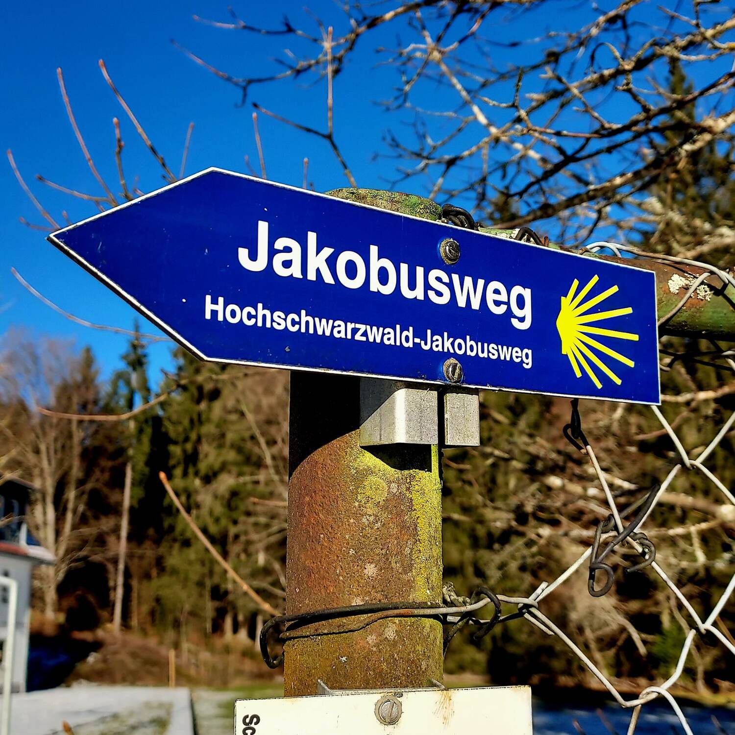 Hochschwarzwald-Jakobusweg