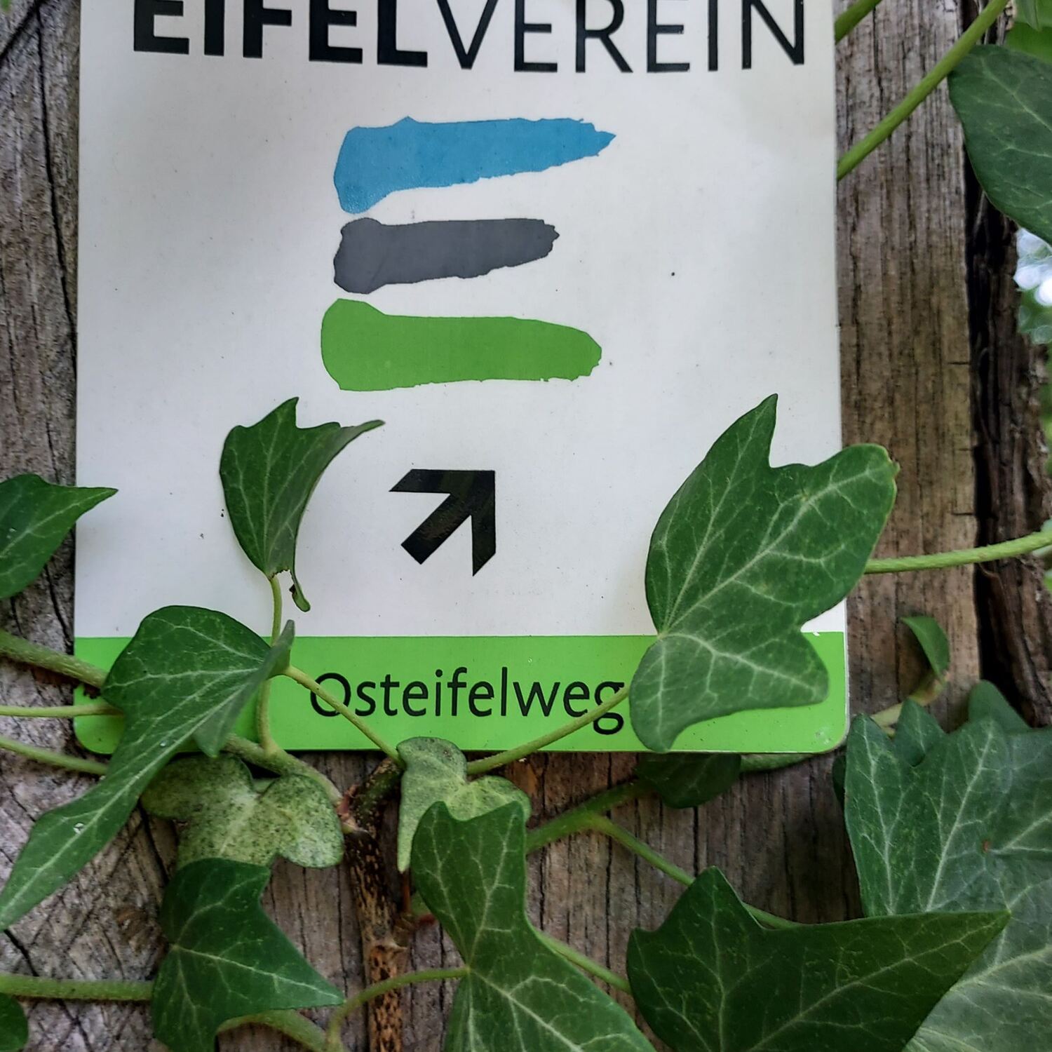 Osteifelweg