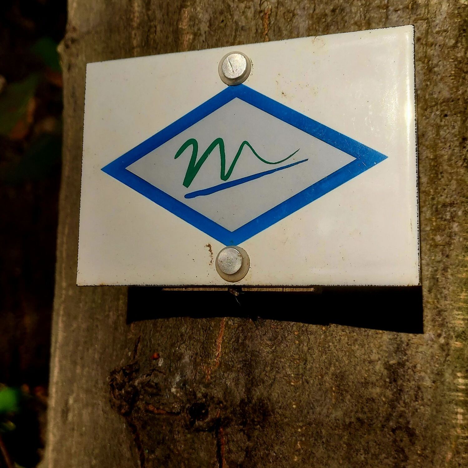 Murgleiter