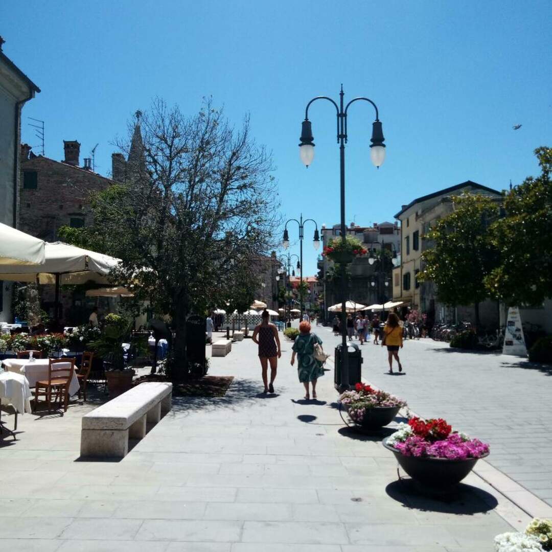 Grado - Here we go again