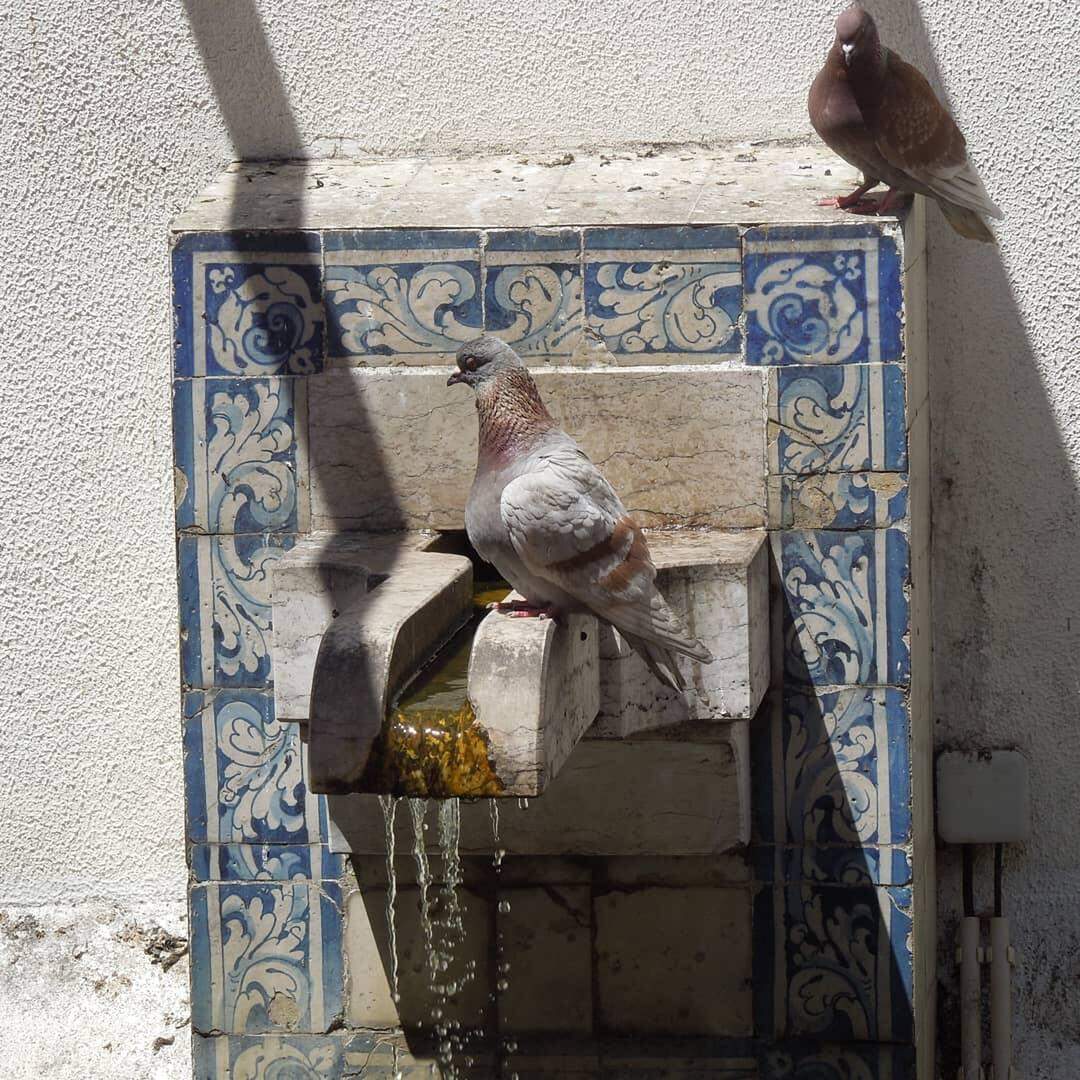 Lissabon