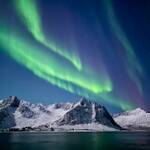 Susann P.