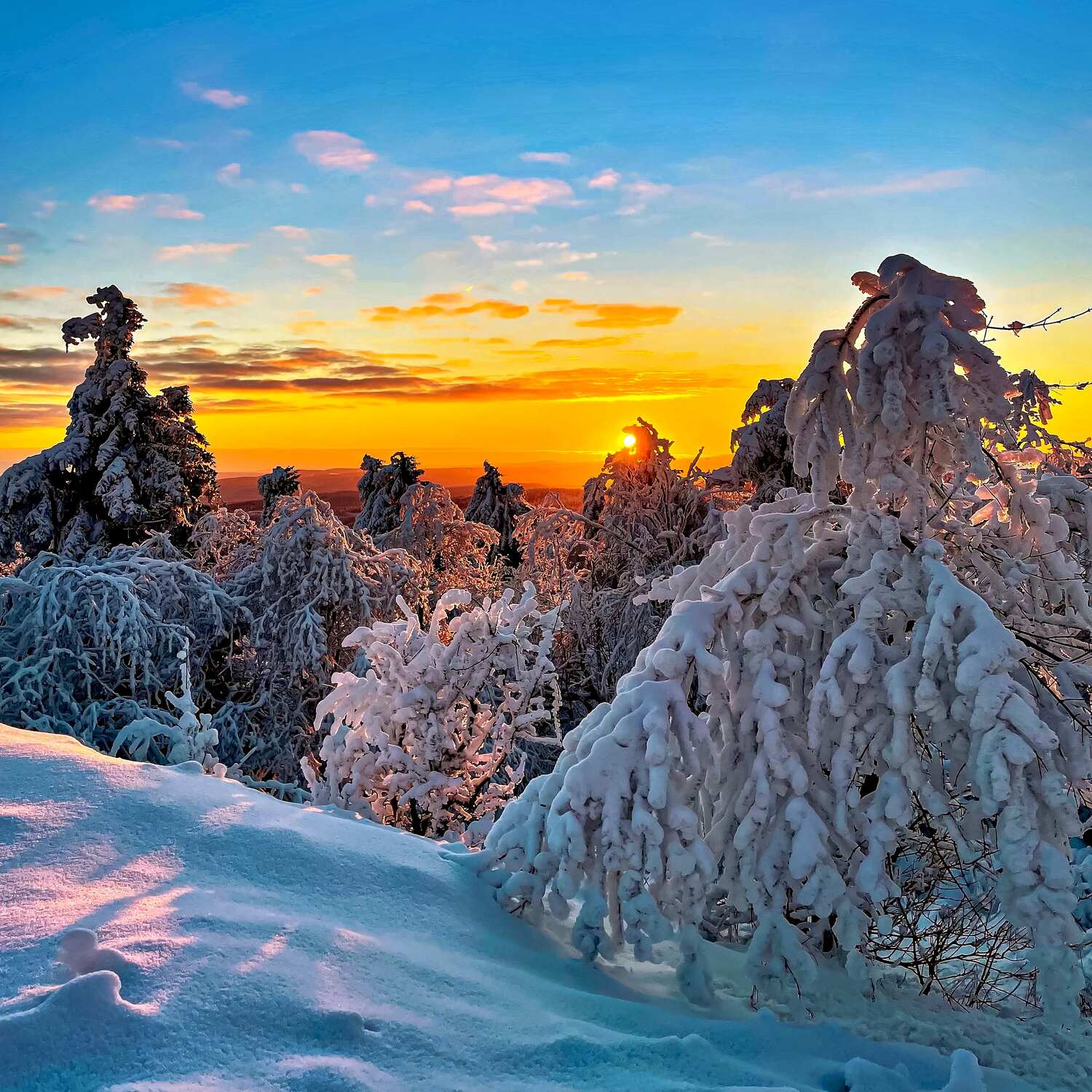 Winterreise nach Schweden