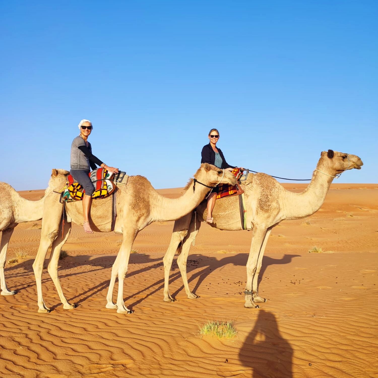 Oman- 🐪 Wüste, Meer und ⛰️