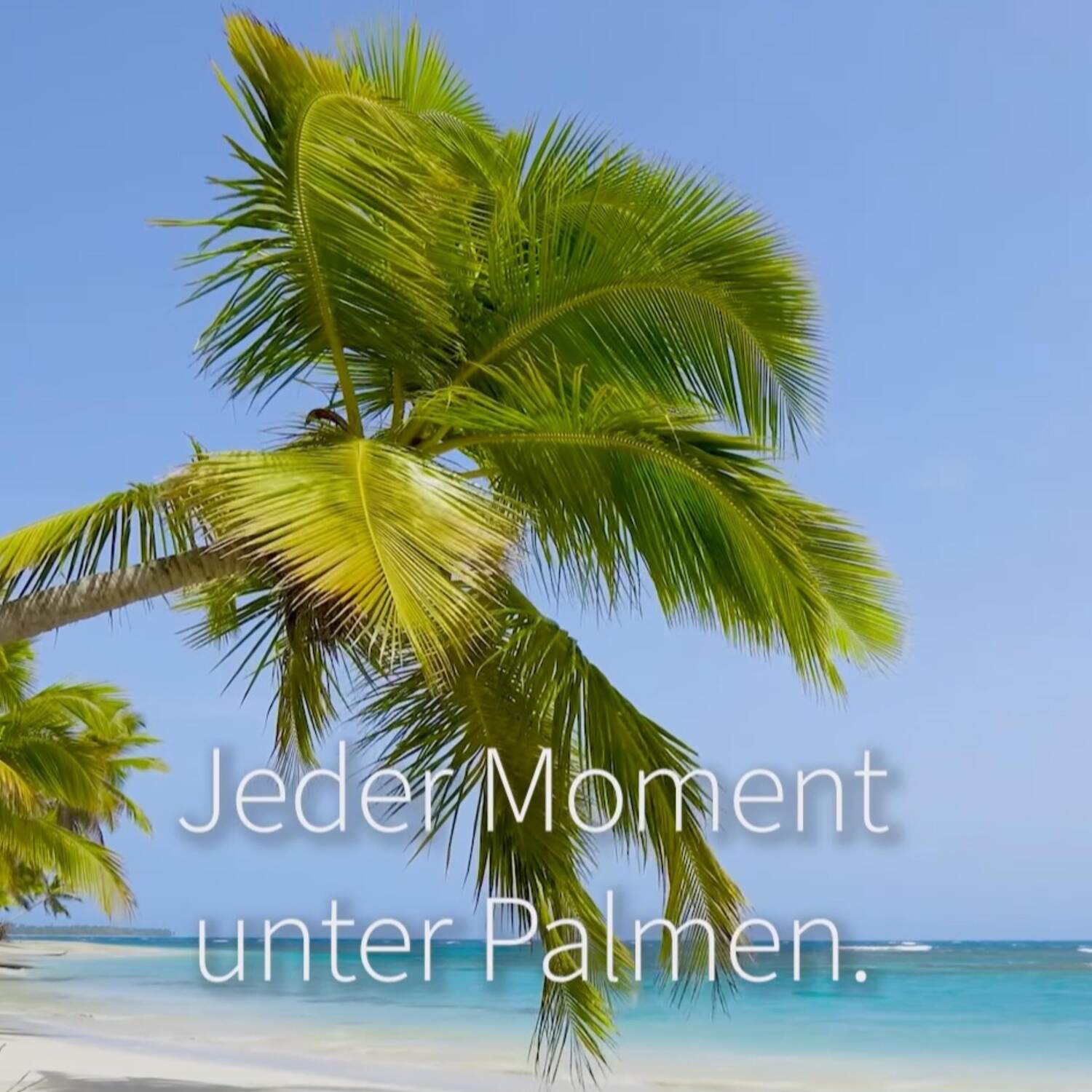 Inselhopping in der Karibik